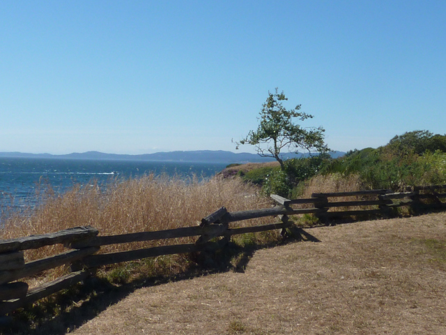 Landscape with ocean and mountains very much in the background. In the foreground is a high bluff with dry grasses, one lone small crooked tree and a wooden fence that angles from the bottom left-hand corner to the middle of the right hand. The photo is a combination of wide vistas and a fence that draws a clear boundary between dried-up lawn and wild grasses. 