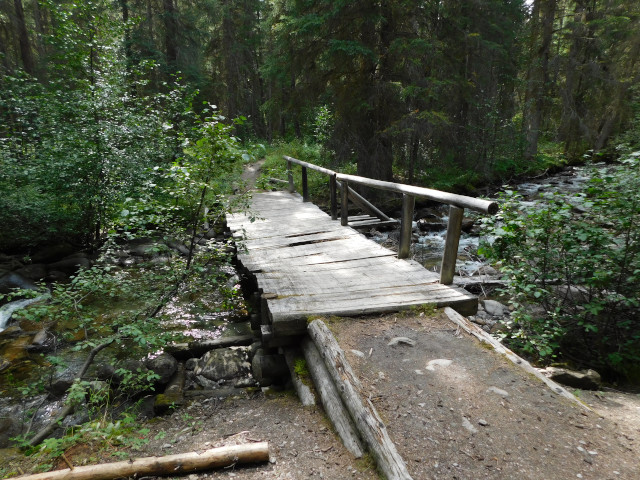 Photo of a trail leading to a rickety wooden bridge over a creek in the forest. 