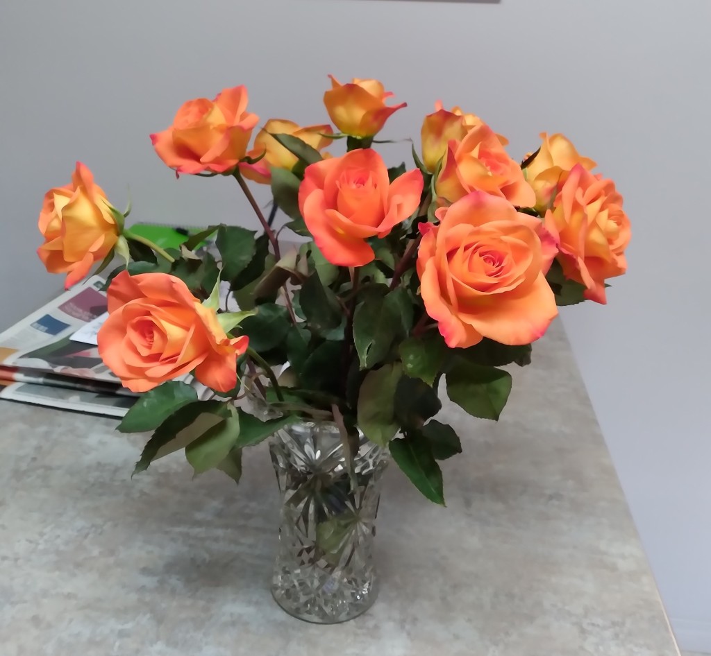 photo of a vase of a dozen coral roses
