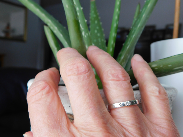 Photo of my hand, next to an aloe vera plant. Focus is on the silver ring on my right hand. 