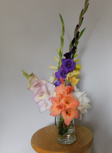 Photo of a bouquet of gladiola